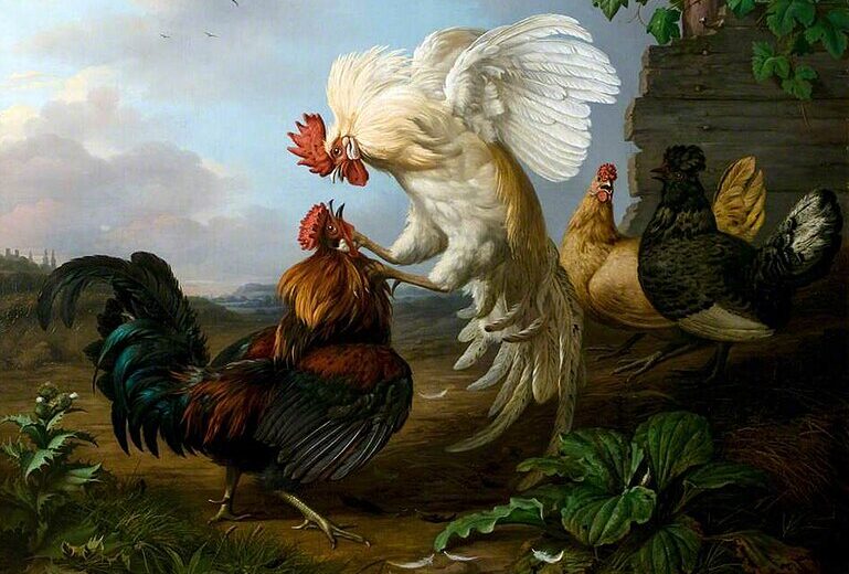 Henri_Voordecker_(1779-1861)_-_Cocks_Fighting_-_LCNUG_1927.270_-_Usher_Gallery