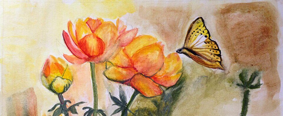 Monarch_butterfly_sipping_nectar_from_a_flower_--_16_of_33